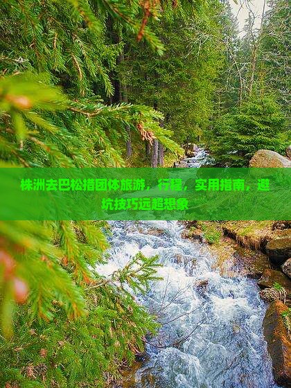 株洲去西藏巴松措团体旅游