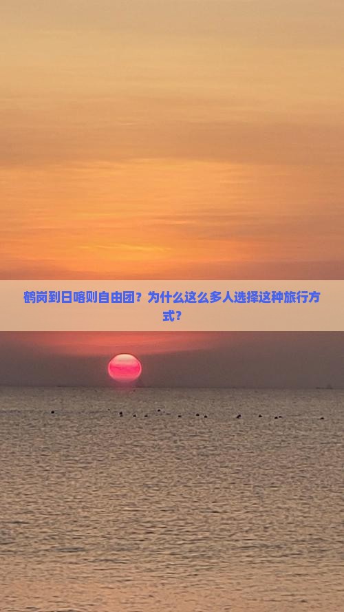 鹤岗到西藏日喀则自由团