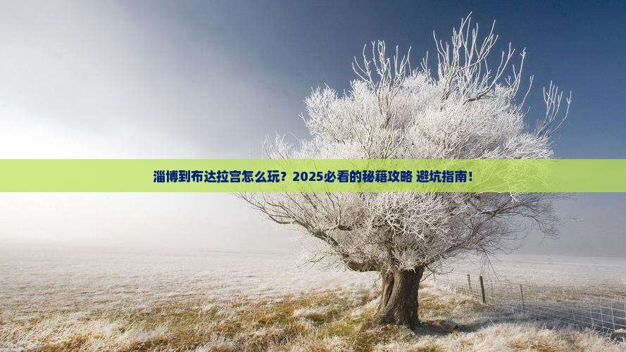 淄博到西藏布达拉宫哪里玩