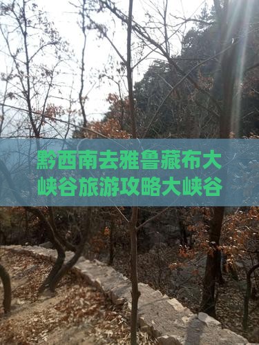 黔西南去西藏雅鲁藏布大峡谷自由团