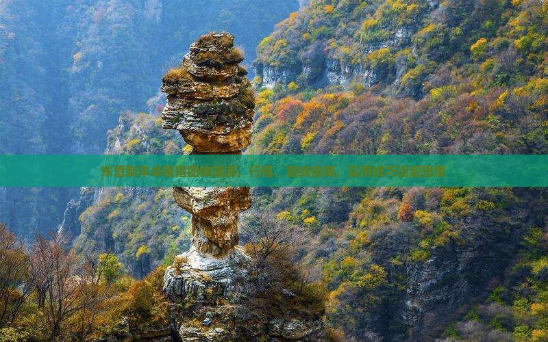 东营到西藏羊卓雍措团体旅游