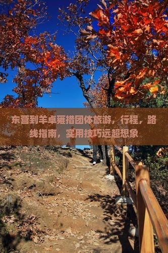 东营到西藏羊卓雍措团体旅游