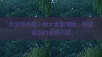 天津到西藏鲁朗小镇大型旅游团