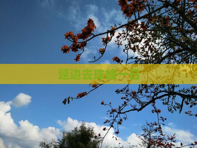 延边去西藏珠峰大本营一日