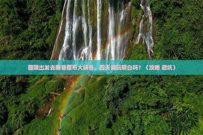 醴陵到西藏雅鲁藏布大峡谷四日游