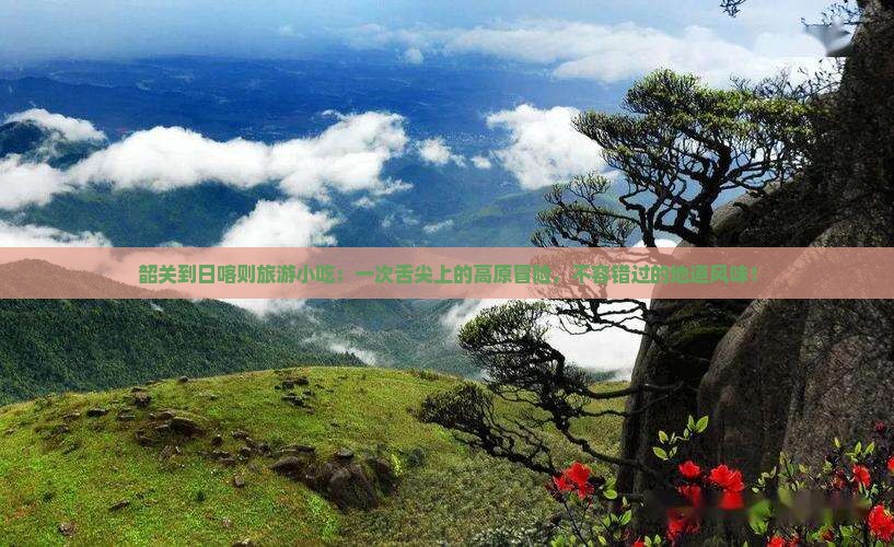 韶关到西藏日喀则旅游小吃