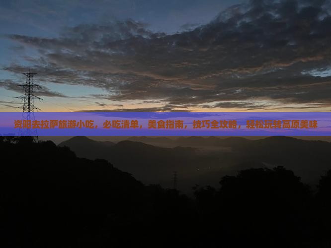 资阳去西藏拉萨旅游小吃