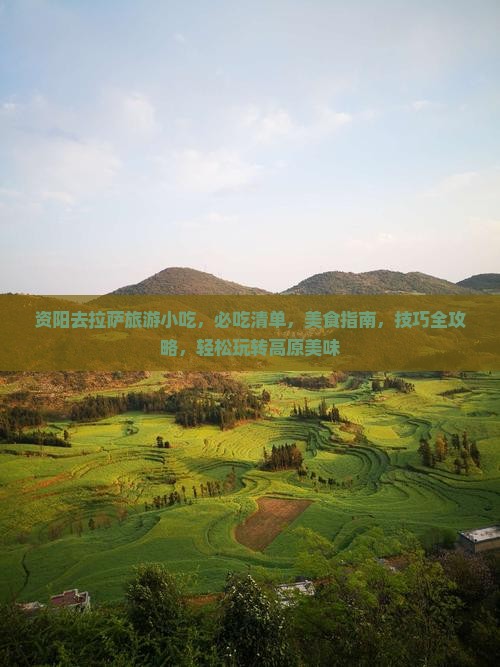 资阳去西藏拉萨旅游小吃