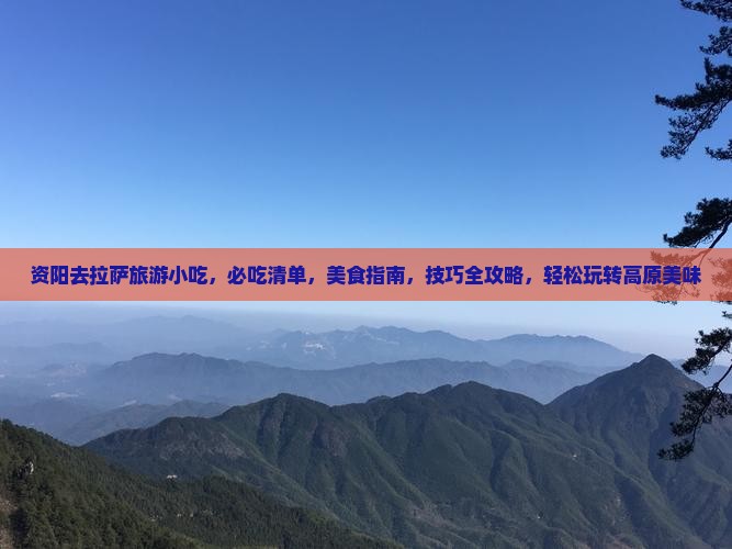 资阳去西藏拉萨旅游小吃