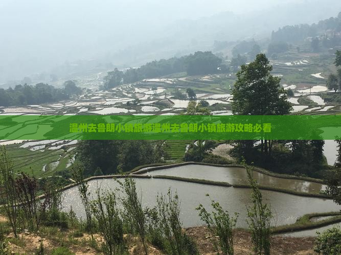 温州去西藏鲁朗小镇旅游
