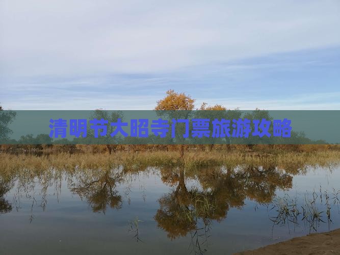 清明节到西藏大昭寺门票