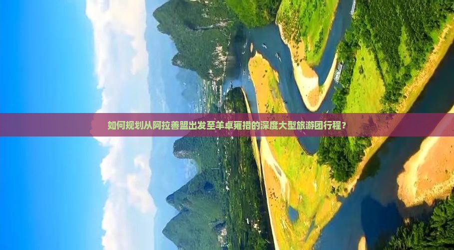 如何规划从阿拉善盟出发至羊卓雍措的深度大型旅游团行程？
