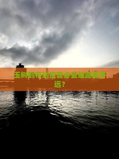 玉树到布达拉宫必去地距离多远？