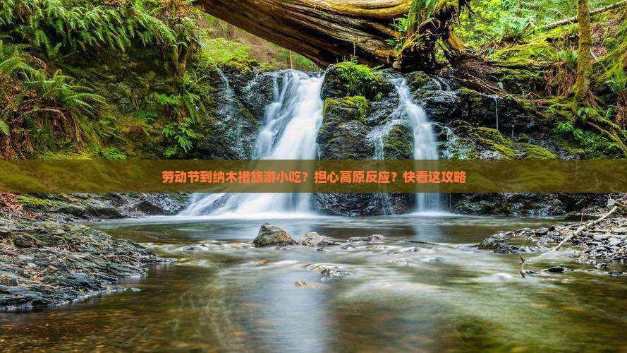 劳动节到纳木措旅游小吃？担心高原反应？快看这攻略