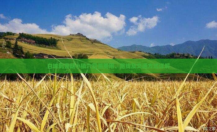 白城到鲁朗小镇六日游费用、路线及交通方式详解