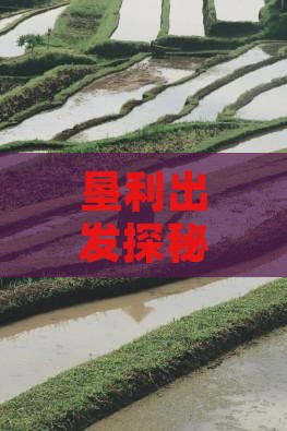 垦利出发探秘巴松措美食之旅