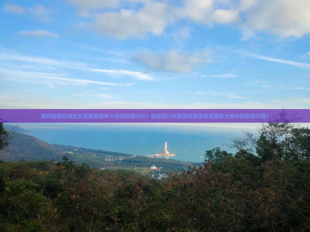如何选择抚顺出发至雅鲁藏布大峡谷的旅行社？哪些旅行社提供抚顺至雅鲁藏布大峡谷的定制行程？
