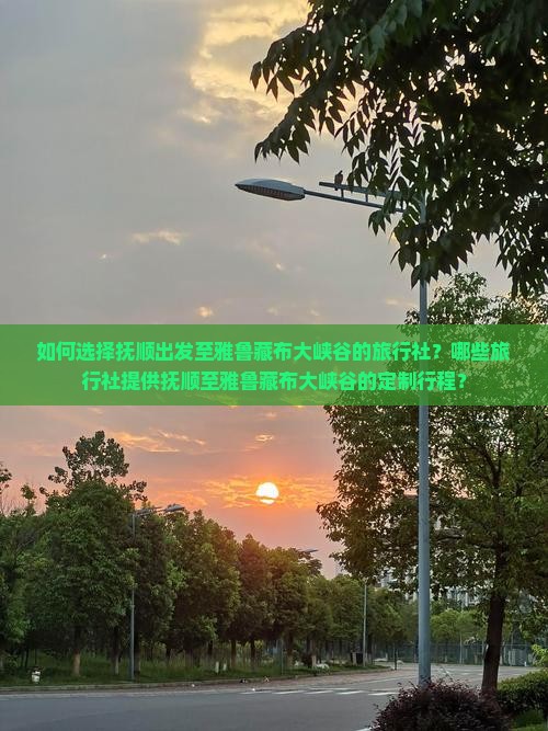 如何选择抚顺出发至雅鲁藏布大峡谷的旅行社？哪些旅行社提供抚顺至雅鲁藏布大峡谷的定制行程？