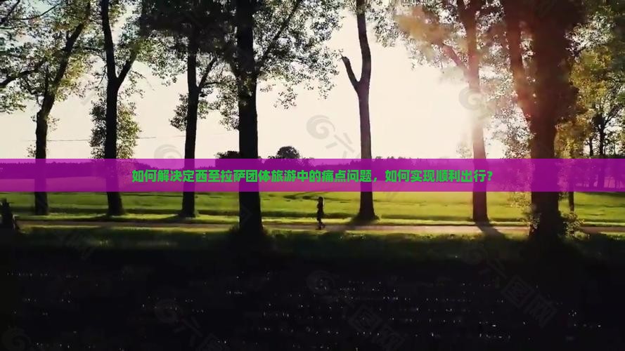 如何解决定西至拉萨团体旅游中的痛点问题，如何实现顺利出行？