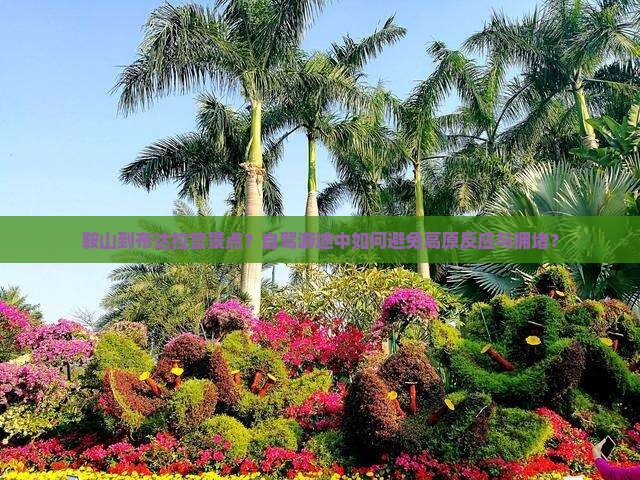 鞍山到布达拉宫景点？自驾游途中如何避免高原反应与拥堵？