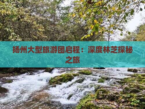 扬州大型旅游团启程：深度林芝探秘之旅