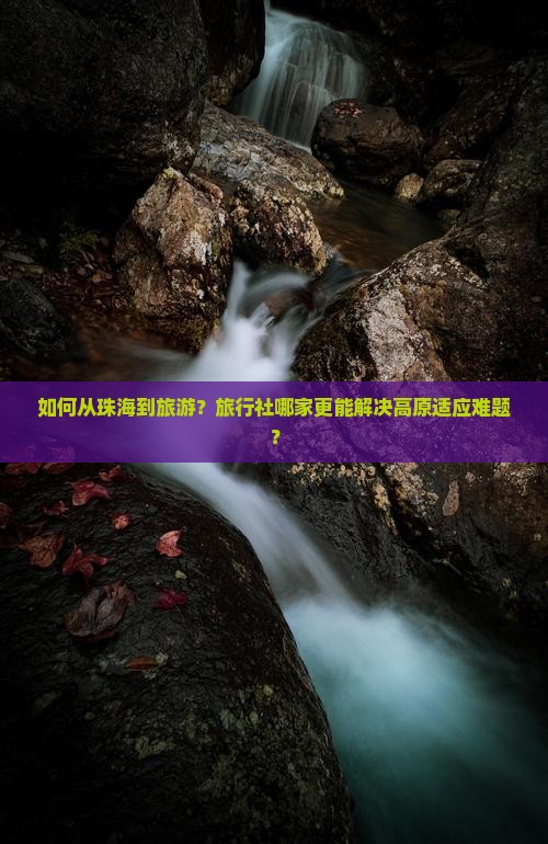 如何从珠海到旅游？旅行社哪家更能解决高原适应难题？