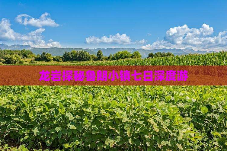 龙岩探秘鲁朗小镇七日深度游