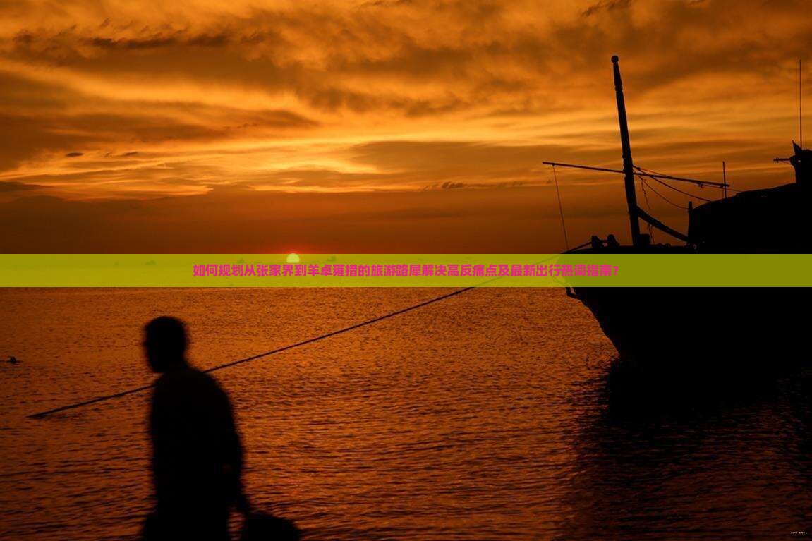 如何规划从张家界到羊卓雍措的旅游路犀解决高反痛点及最新出行热词指南？