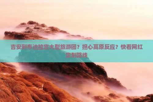 吉安到布达拉宫大型旅游团？担心高原反应？快看网红定制路线