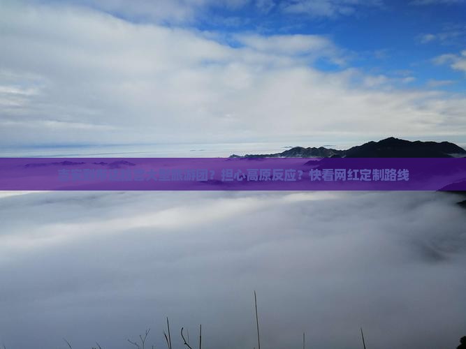 吉安到布达拉宫大型旅游团？担心高原反应？快看网红定制路线