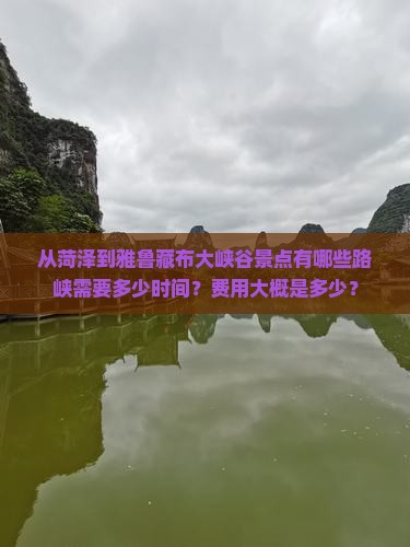 从菏泽到雅鲁藏布大峡谷景点有哪些路峡需要多少时间？费用大概是多少？