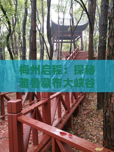 梅州启程：探秘雅鲁藏布大峡谷二日深度游