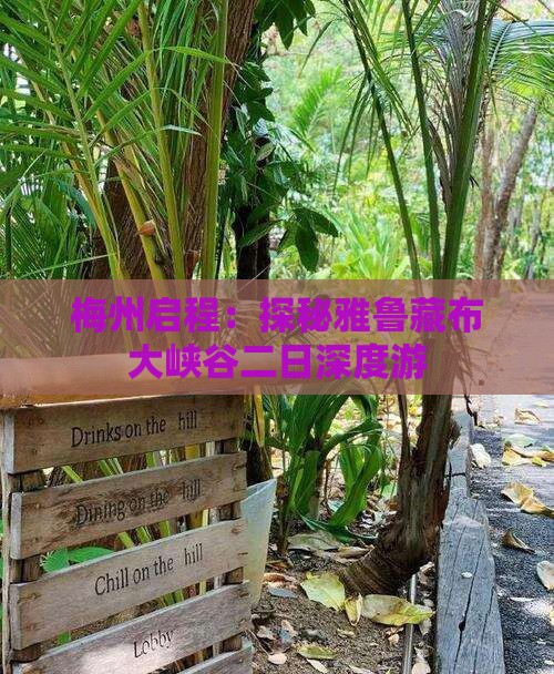 梅州启程：探秘雅鲁藏布大峡谷二日深度游