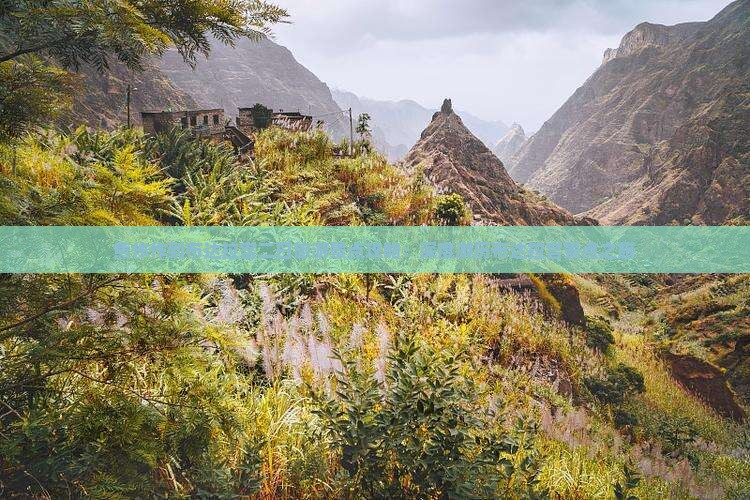 焦作作到布达拉宫二日旅游景点攻略：深度游历布达拉宫景点之旅