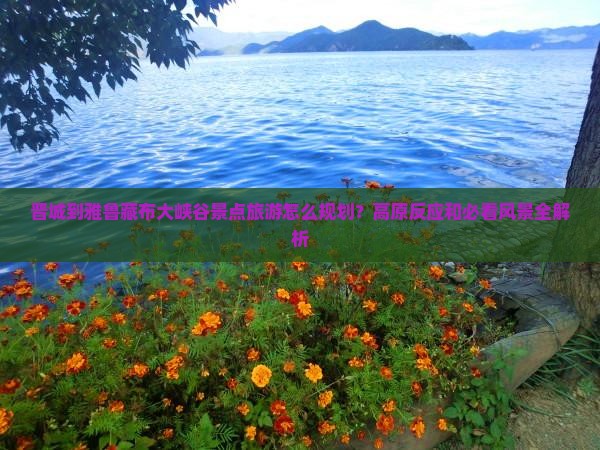晋城到雅鲁藏布大峡谷景点旅游怎么规划？高原反应和必看风景全解析