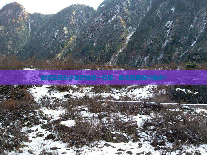 如何实现长沙至巴松措一日游，解决高原旅行痛点？