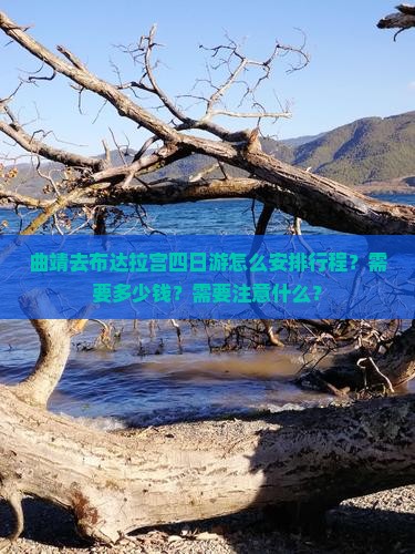 曲靖去布达拉宫四日游怎么安排行程？需要多少钱？需要注意什么？