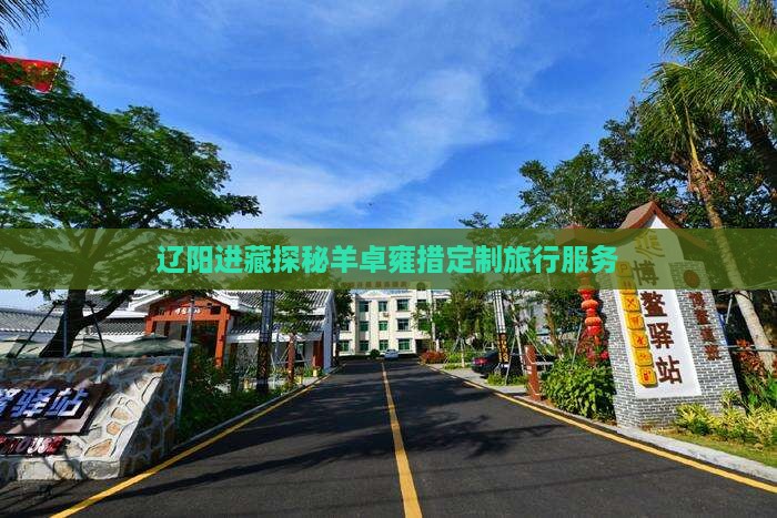 辽阳进藏探秘羊卓雍措定制旅行服务