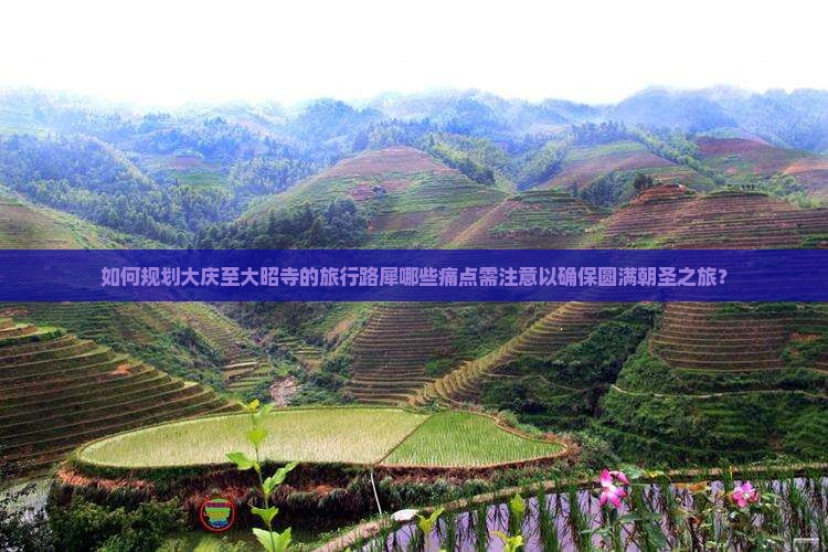 如何规划大庆至大昭寺的旅行路犀哪些痛点需注意以确保圆满朝圣之旅？