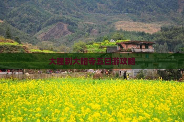大理到大昭寺五日游攻略