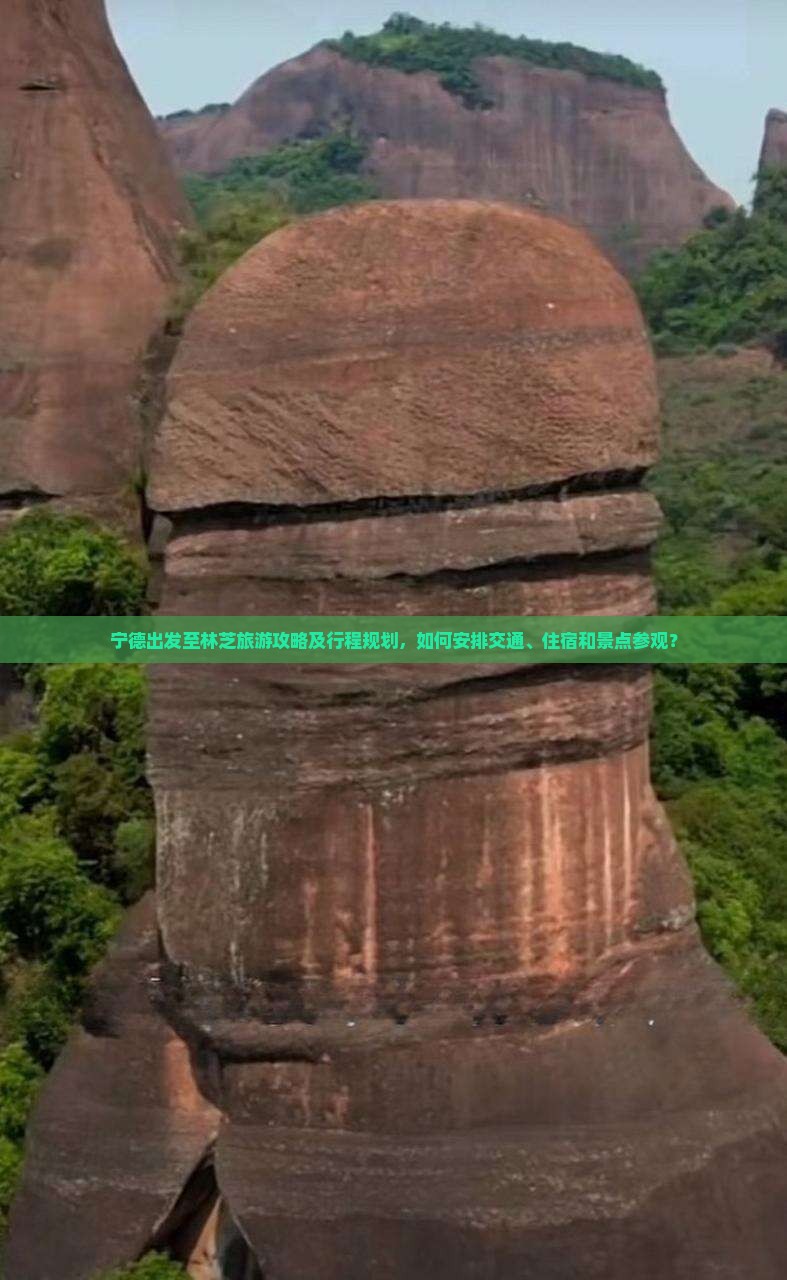 宁德出发至林芝旅游攻略及行程规划，如何安排交通、住宿和景点参观？