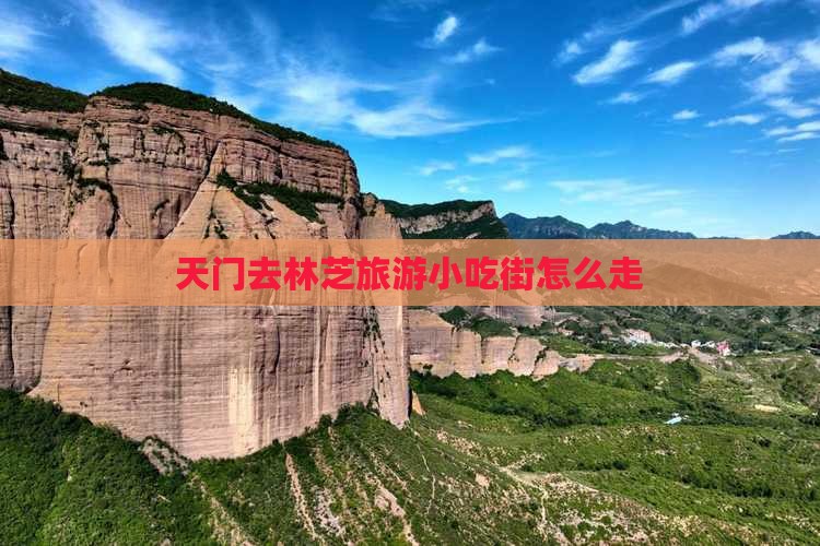 天门去林芝旅游小吃街怎么走