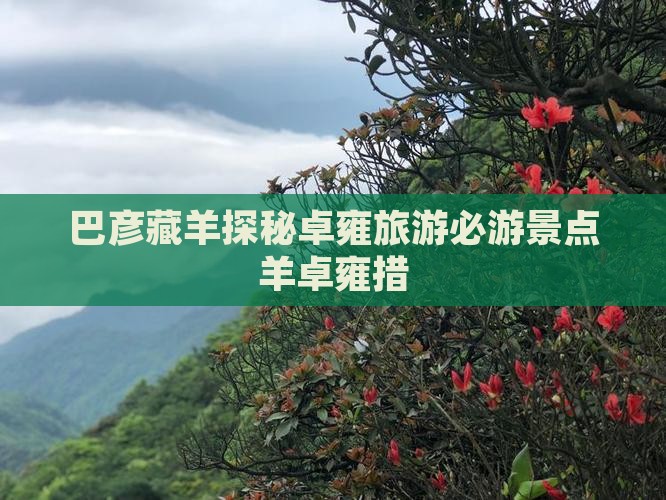 巴彦藏羊探秘卓雍旅游必游景点羊卓雍措