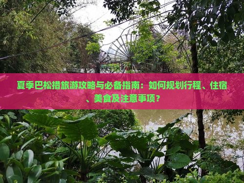 夏季巴松措旅游攻略与必备指南：如何规划行程、住宿、美食及注意事项？