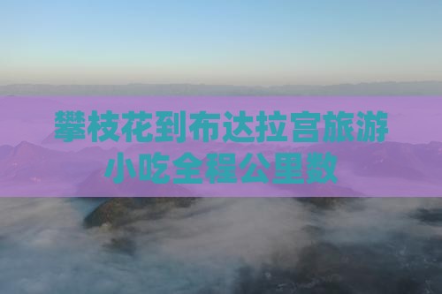攀枝花到布达拉宫旅游小吃全程公里数