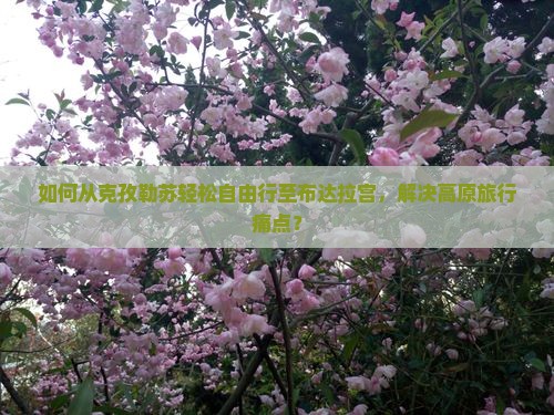 如何从克孜勒苏轻松自由行至布达拉宫，解决高原旅行痛点？
