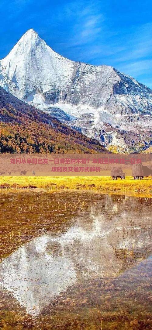 如何从阜阳出发一日游至纳木措？阜阳至纳木措一日游攻略及交通方式解析