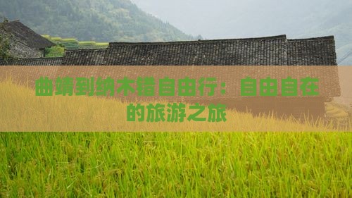 曲靖到纳木错自由行：自由自在的旅游之旅
