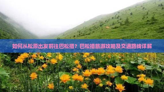 如何从松原出发前往巴松措？巴松措旅游攻略及交通路线详解