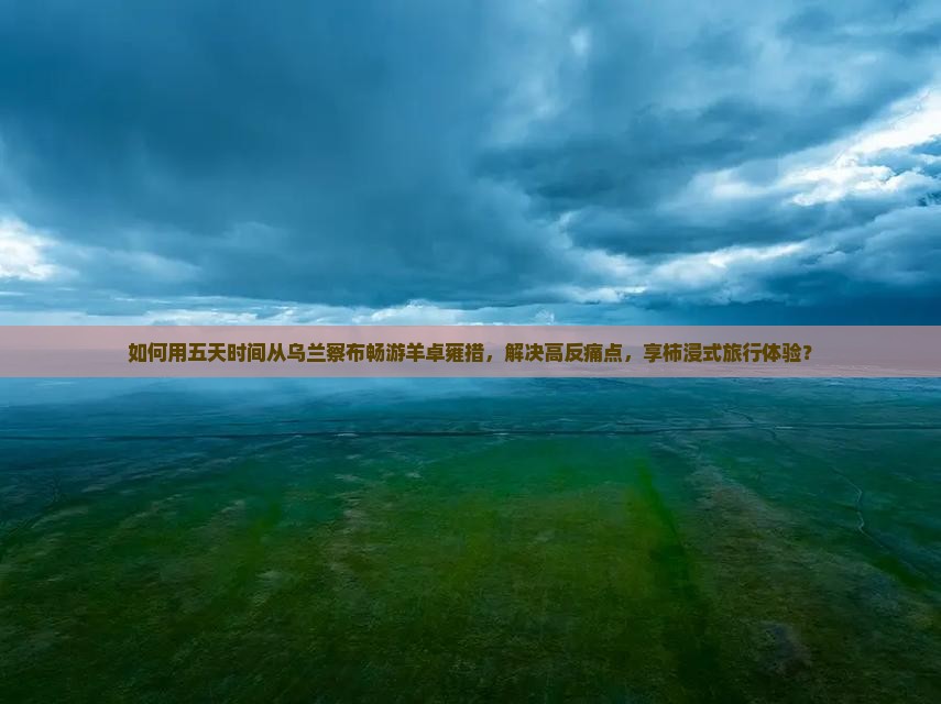 如何用五天时间从乌兰察布畅游羊卓雍措，解决高反痛点，享柿浸式旅行体验？
